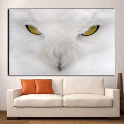 Owl Canvas Prints White Owl Canvas Wall Art Animal Canvas Animal Paintings Animals Wall Decor White Owl Wallpaper Animal