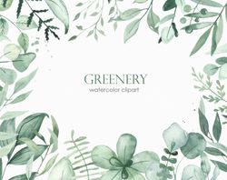 Greenery. Watercolor clipart. Foliage, leaves, branches, berries, twigs. Eucalyptus, palm, fern leaves. Digital PNG