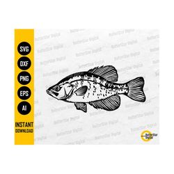 Crappie Fish SVG | Panfish Fishing SVG | Angling SVG | Fish Decals Vinyl Stencil Graphics | Cut Files Clip Art Vector Di