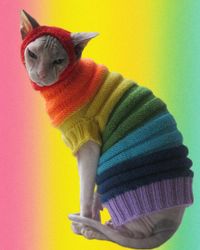 cat clothes,sphynx clothes,cat sweater,sphynx sweater,pet clothes,winter cat clothing,warm cat clothes,sphynx cat,sphynx