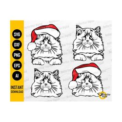 Ragdoll Cat SVG | Christmas Cat SVG Face Head Illustration Drawing Decal | Cricut Silhouette Printable Clipart Digital V