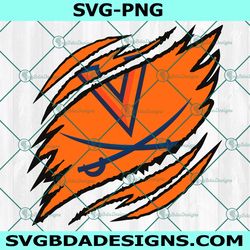 Virginia Cavaliers Ripped Claw Ripped Claw SVG, NCAA Mascot University College Svg, NCAA Ripped Claw Svg, NCAA Logo SVG