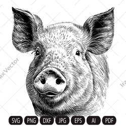 Pig Svg,Pig face, Piglet Head, Pig Silhouette, Pig detailed portrait, Farm Animals Silhouette