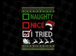 Christmas Nice Naughty I Tried PNG, Santa Red plaid Png, Naughty or Nice Png, Naughty Png, Nice Png, Christmas Png, Chri
