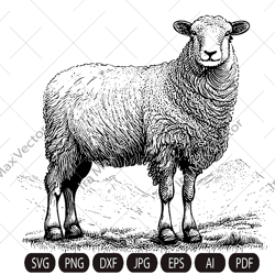 Cute sheep SVG, Sheep standing, Sheep Clipart, Sheep detailed, Sheep printable, Farm animals