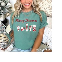 Merry Christmas Shirt, Women's Christmas Shirt, Cute Christmas Tees, Christmas Tees for Women, Christmas Gift Shirt, CR-