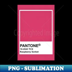Raspberry sorbet - Sublimation-Ready PNG File - Instantly Transform Your Sublimation Projects