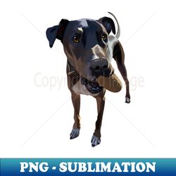 cute dog playing throw and catch-vector art the dog - Elegant Sublimation PNG Download - Fashionable and Fearless