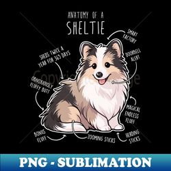Sheltie Shetland Sheepdog Anatomy - Instant PNG Sublimation Download - Instantly Transform Your Sublimation Projects