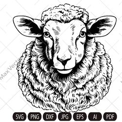 Cute sheep SVG, Sheep face, Sheep head, Sheep Clipart, Sheep detailed, Sheep printable, Farm animals