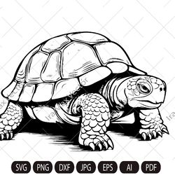 Tortoise SVG, Tortoise Clipart, Hand Drawn Tortoise Vector Illustration,Turtle svg,Turtle Head, Turtle vector, Turtle Si