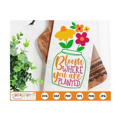 Bloom where you are planted svg, bloom cut file, spring floral svg for silhouette and cricut
