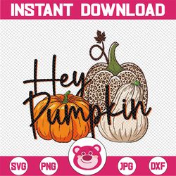 Hey Pumpkin PNG, Thanksgiving Png, Pattern Pumpkins Digital Download File Pumpkin Sublimation, Pumpkin Png, Print