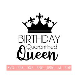 Quarantined Birthday Queen, SVG PNG EPS Jpeg, Instant Download, Social Distancing, Toilet Paper Crisis, Virus, Pandemic, Cut File for Cricut