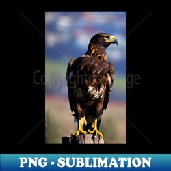golden eagle - Modern Sublimation PNG File - Perfect for Creative Projects