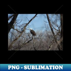 Bald Eagle - Signature Sublimation PNG File - Perfect for Sublimation Mastery