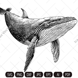 Whale Svg, Whale clipart, whale detailed , whale silhouette, whale png, humpback whale, Printable Whale Svg, ocean svg,