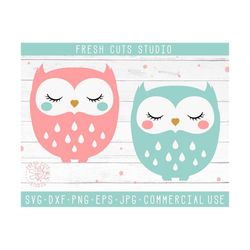 Owl SVG Cut Files, Instant Download Design Cutting Files, Baby Owl Digital Design for Cricut Cameo Silhouette Dxf, Png, Vector, Woodland SVG