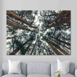 wooded area, natural beauty canvas wall art, nature landscape canvas wall art, landscape canvas wall art, room decor, fr