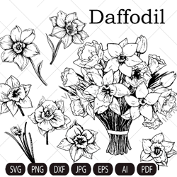 Daffodils svg, Daffodil Flowers svg, Narcissus flower bouquet svg, Birth flower svg, Spring flowers svg, png, cut file