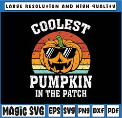 Coolest Pumpkin In The Patch Svg,Pumpkin Boy Svg, Spooky Season Png, Pumpkin Spice Sublimation Design, Instant Download