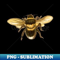 Honey Bee - PNG Transparent Sublimation File - Vibrant and Eye-Catching Typography