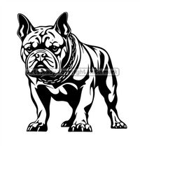 American bully or pitbull pit bullies dog standing bold outline drawing, Svg , Png, Eps instant digital downloads