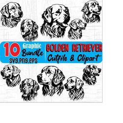Golden retriever head face artwork, dog or puppy pet lover owner theme, Svg , Png, Eps instant digital downloads BUNDLES