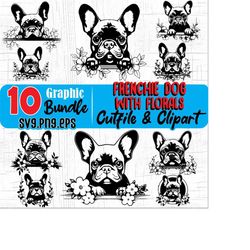 Cute peeking French bulldog or frenchie dog art with Florals dog or puppies pet lover, Svg , Png, Eps instant digital downloads BUNDLES