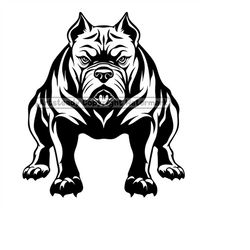American bully or pitbull pit bullies dog muscular, Svg , Png, Eps instant digital downloads