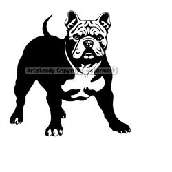 American bully or pitbull pit bullies dog art, Svg , Png, Eps instant digital downloads