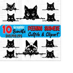 Cats Svg files - peeking SIAMESE CAT SVG graphic Bundle instant digital downloads