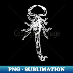 Spooky Scary Scorpion - Trendy Sublimation Digital Download - Enhance Your Apparel with Stunning Detail