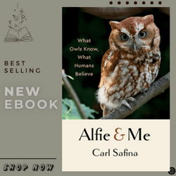 Alfie and Me: What Owls Know, What Humans Believe  by Carl Safina (Author)