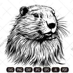 Happy Beaver Svg, Cute Beaver svg, Beaver svg, Smiling Beaver svg, Beaver Shirt, Beaver Clipart, Cut Files, Beaver face