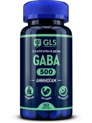 GABA, sports nutrition, dietary supplements vitamins for sleep with glycine, magnesium and vitamin B6, 500 mg, 60 capsul
