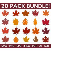Fall Leaves SVG Bundle, Fall  Cliparts SVG Bundle, Maple Leaf Svg, Autumn Svg, Fall Leaf svg, Autumn Bundle Svg, Cricut,