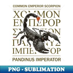 Common Emperor Scorpion - Retro PNG Sublimation Digital Download - Capture Imagination with Every Detail