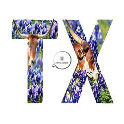 TX PNG, Texas PNG, Texas Longhorn and Bluebonnet Image, Texas Longhorns Png