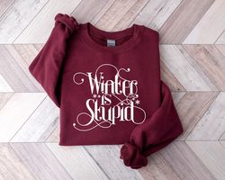 winter is stupid shirt png, sweatshirt png for winter, winter gift, cute winter top, sassy top, gift for christmas, funn