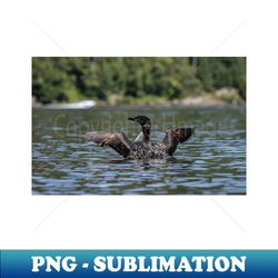 Common Loon Wing Spread - Signature Sublimation PNG File - Perfect for Sublimation Mastery