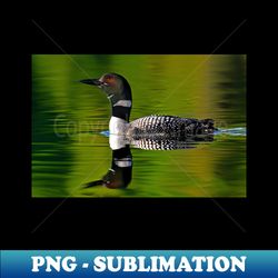 Common Loon - Special Edition Sublimation PNG File - Stunning Sublimation Graphics