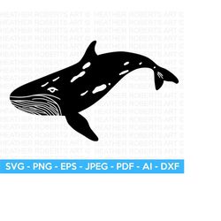 Whale SVG, Ocean Svg, Sea Animal, Whale Silhouette, Whale Clipart, Aquatic, Aquatic Animals, Blue Whale, Cut File Cricut