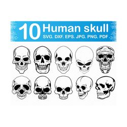 Skull svg, Skull face svg, Skull clipart, Skull vector, Skull svg file for cricut, Svg files for silhouette, Svg files for cricut, Png files
