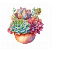 Watercolor Succulents Clipart, Succulents PNG, Cactus Clip Art, Botanical Clipart, Wedding Floral Clipart, Instant Download