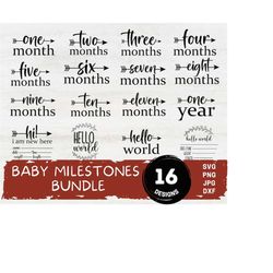 baby milestone svg, baby milestone rounds svg, monthly milestone svg, baby svg, newborn sign svg, baby announcement svg, birth stats svg