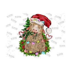 Christmas Sheep Png,Sublimation Design, Merry Christmas Png, Christmas Sheep Clipart, Christmas Animals Png, Sheep Png,