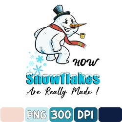 How Snowflakes Are Really Made Png, Funny Snowman Christmas Png, Merry Christmas Png, Digital Download
