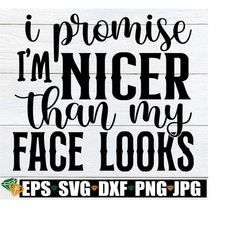 I Promise I'm Nicer Than My Face Looks, Sassy Saying SVG, Sarcastic Quote svg, Funny SVG Beauty Wall Decal, Funny Quote svg,Digital Download