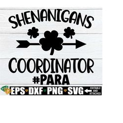 Shenanigans Coordinator, Para St. Patricks Day svg, Paraprofessional svg, Para St. Patricks Day Shirt svg, St. patrick's Day Gift For Para